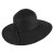 Hüte - Brighton Sun Hat (schwarz)