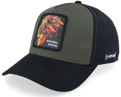 Kappe - Capslab Fantastic Beasts Natural Mystik (grün/schwarz)