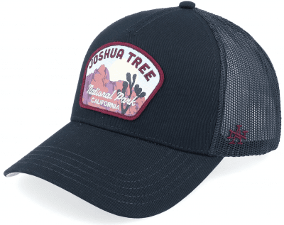 Cap - American Needle Yellowstone Valin (schwarz)