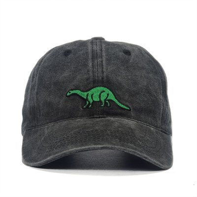 Caps - Gårda Dino (schwarz)